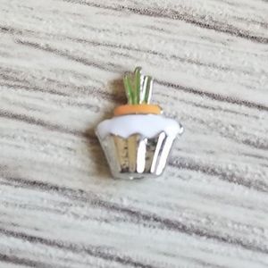 🦉HTF Carrot Cupcake Charm